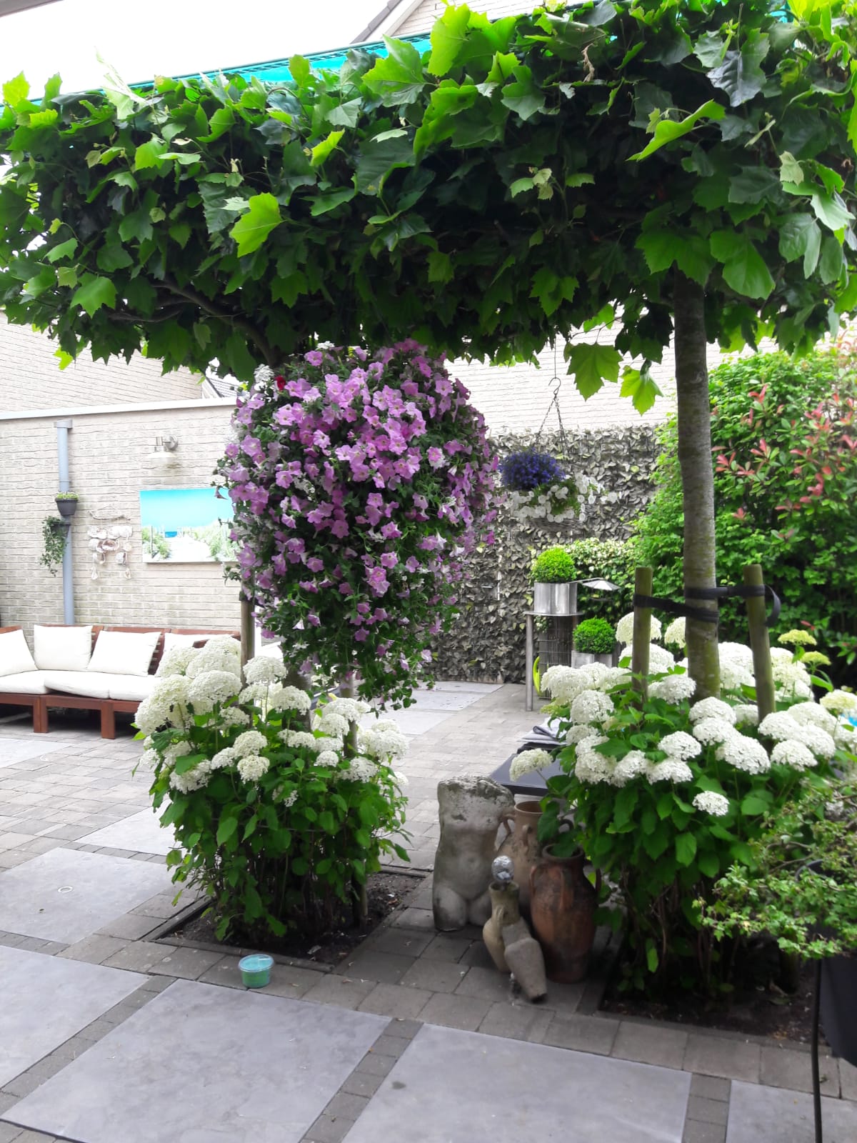 Foto 30 van Ben Kleijwegthof 21