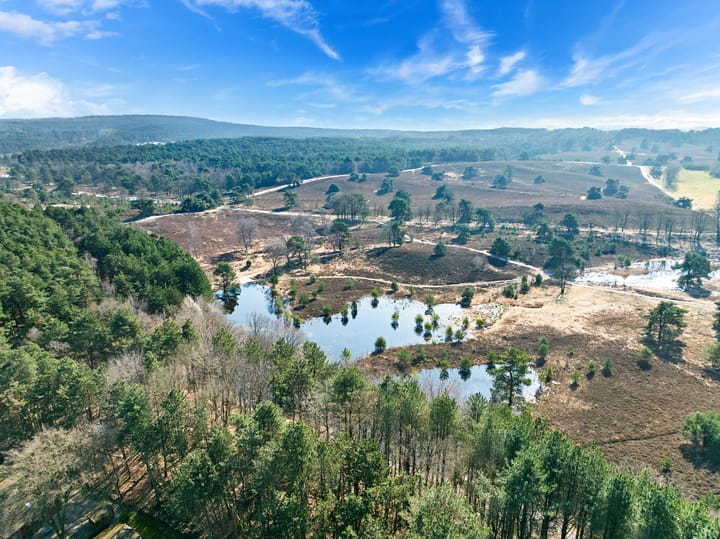 Photo 20 of Akerstraat 153-X068