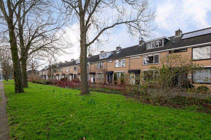 Foto 6 van Graan voor Visch 15207