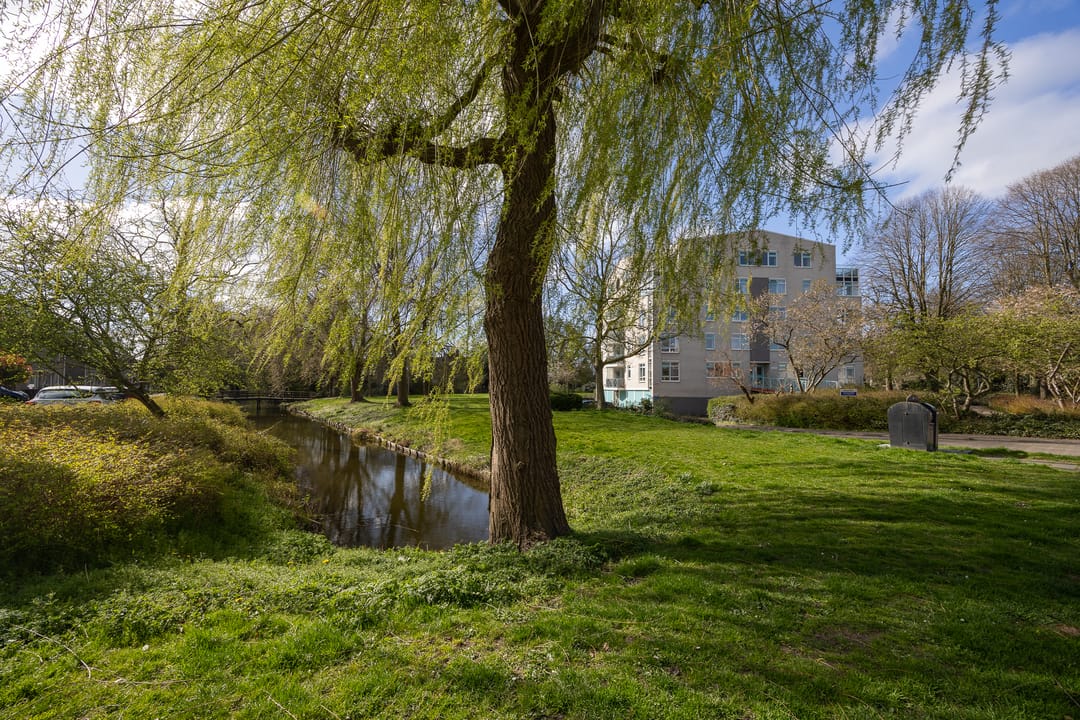 Photo 26 of Bergmolen 24