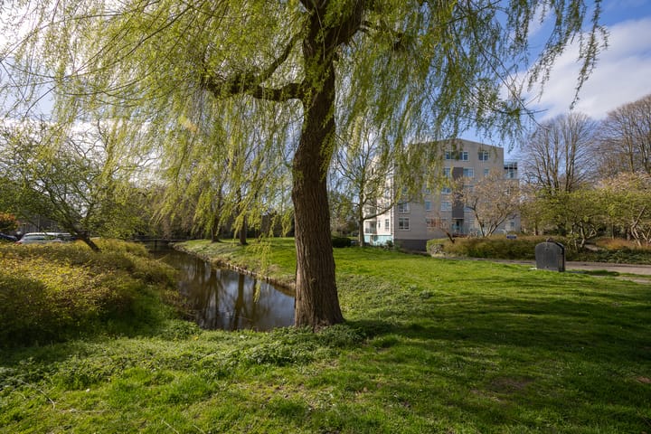 Foto 26 van Bergmolen 24