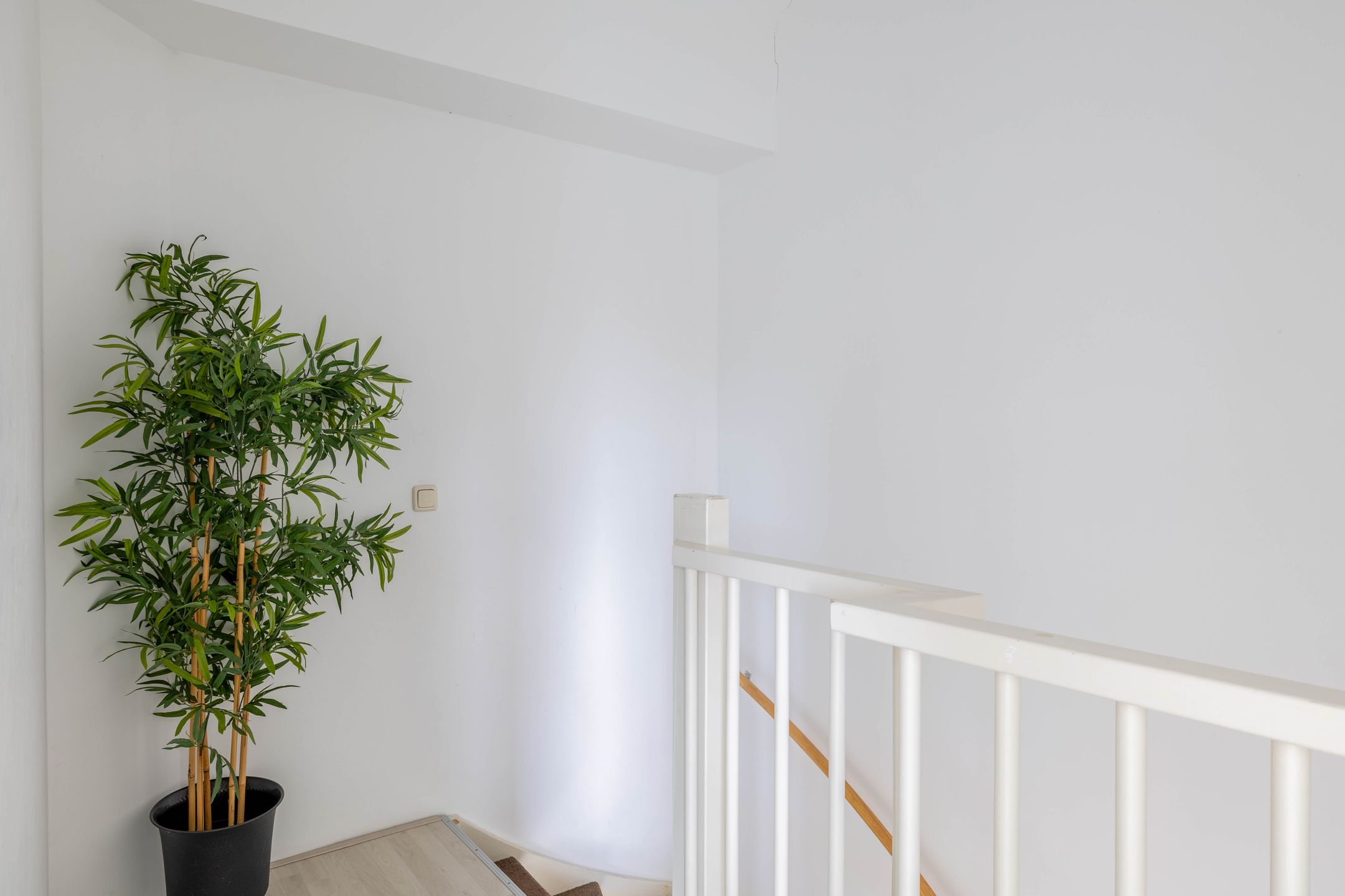 Foto 60 van Oudzoom 58