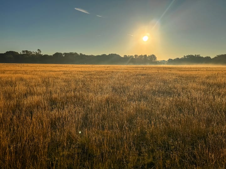 Foto 61 van Stationsweg 224