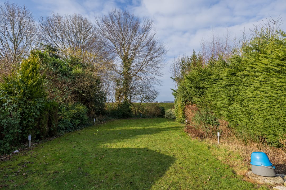 Photo 32 of Watertuin 19