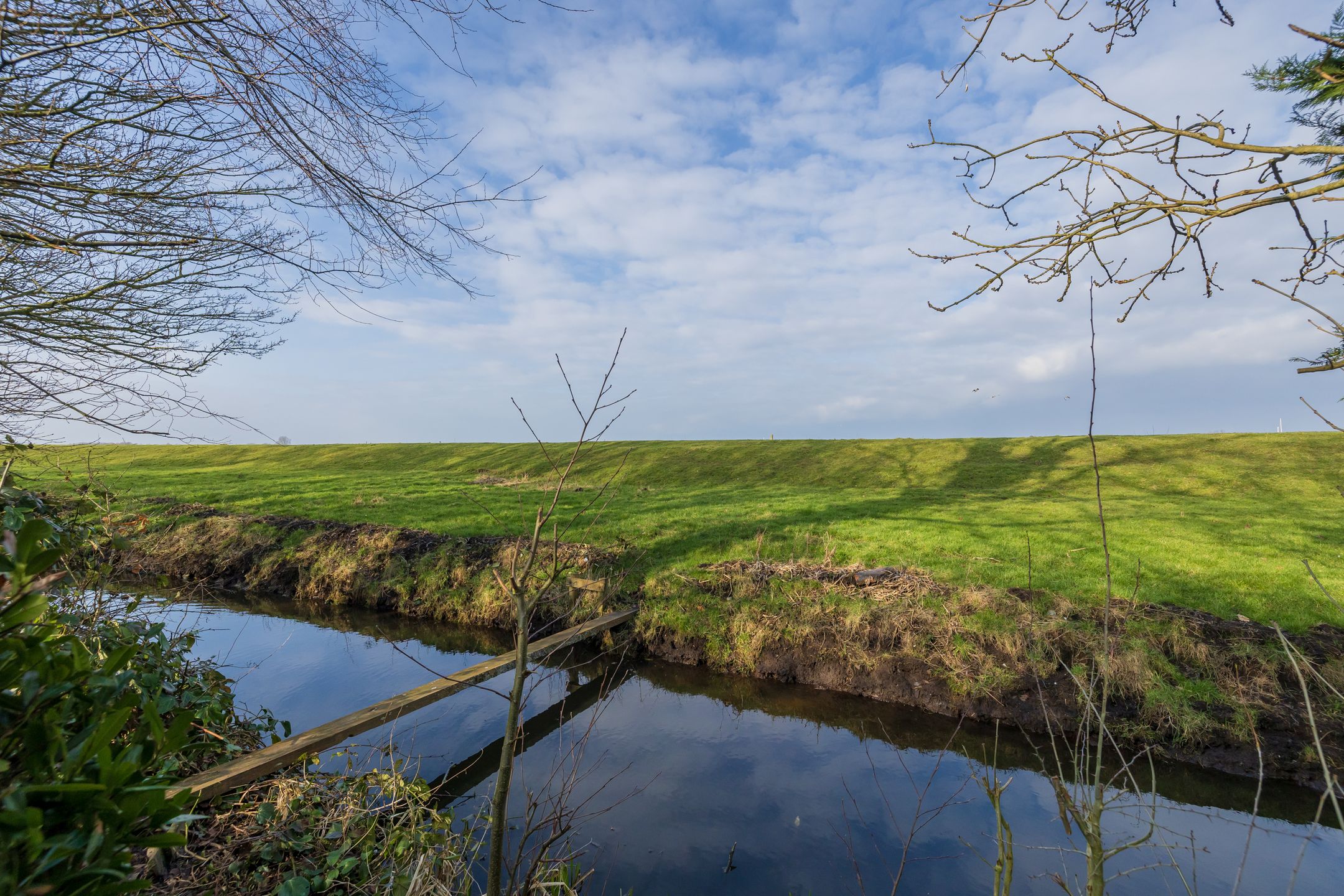 Photo 36 of Watertuin 19