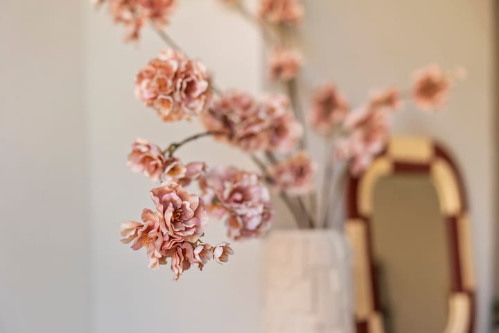 Foto 6 van Beukenhof 11