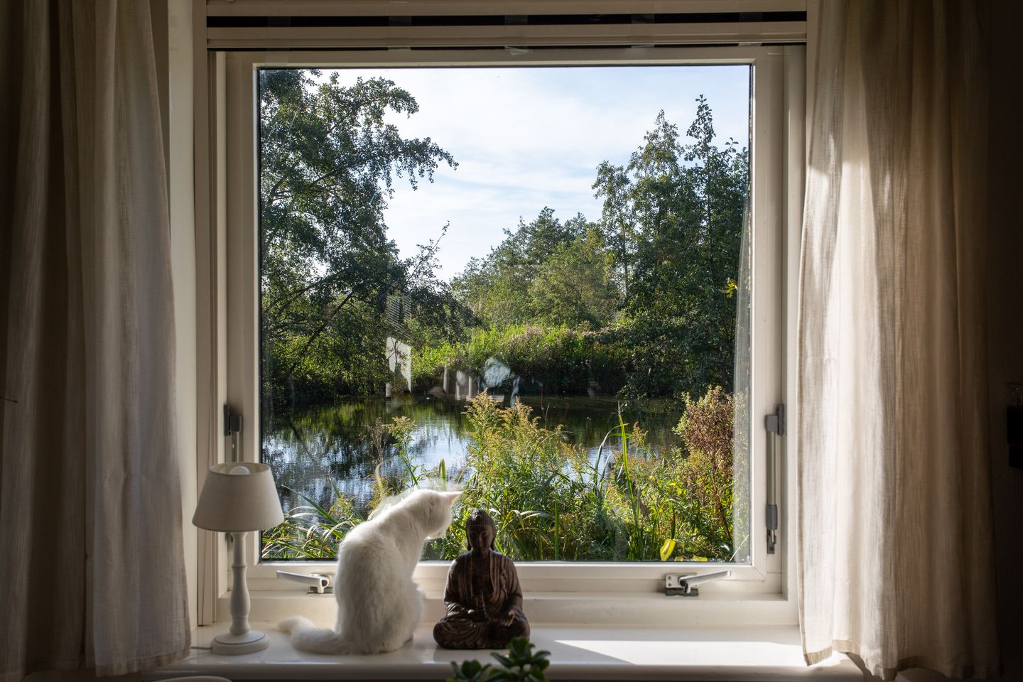 Photo 50 of Voorhaakdijk 3