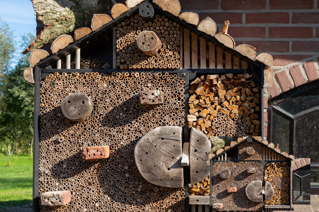 Photo 61 of Voorhaakdijk 3