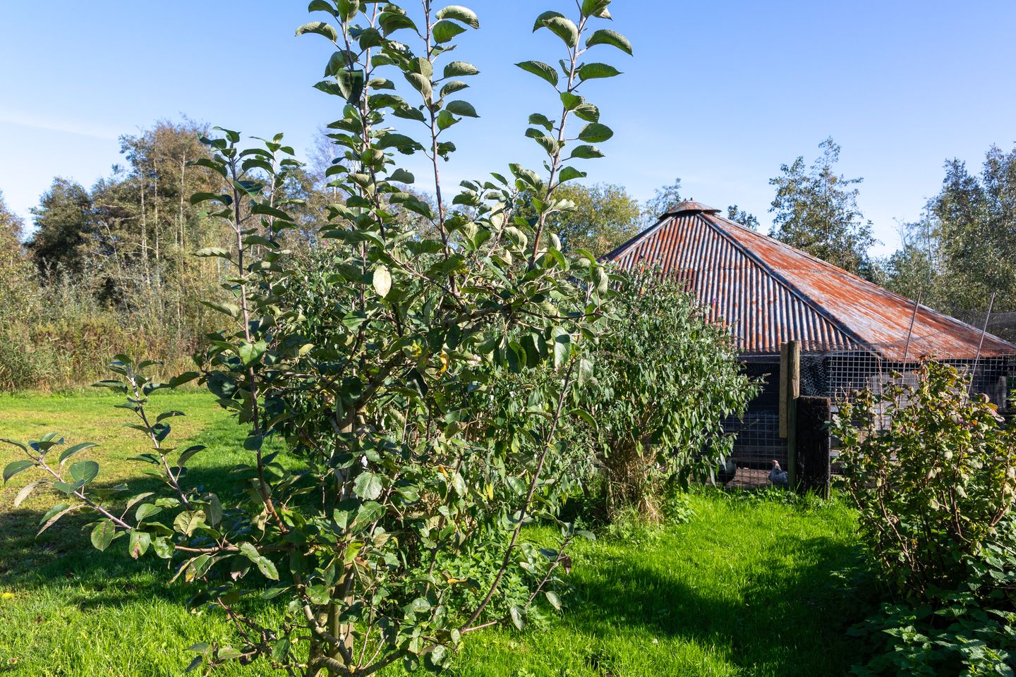 Photo 64 of Voorhaakdijk 3
