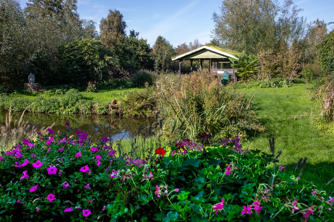 Photo 68 of Voorhaakdijk 3