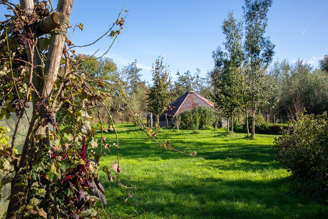 Photo 73 of Voorhaakdijk 3