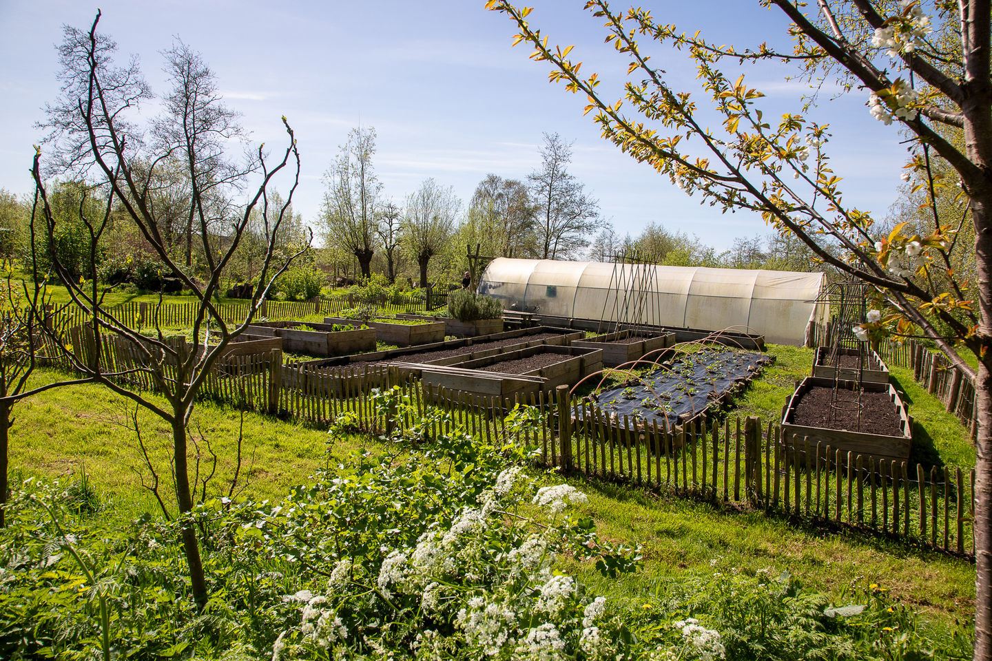 Photo 74 of Voorhaakdijk 3