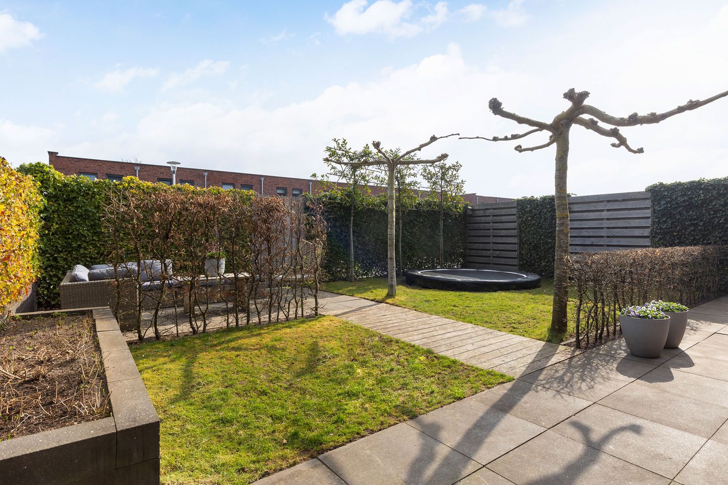 Foto 5 van Honingzwam 20