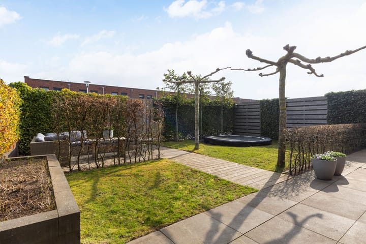 Foto 5 van Honingzwam 20