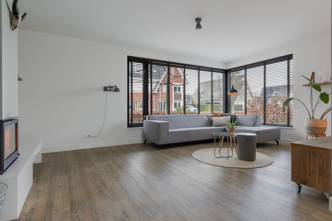 Foto 8 van Honingzwam 20