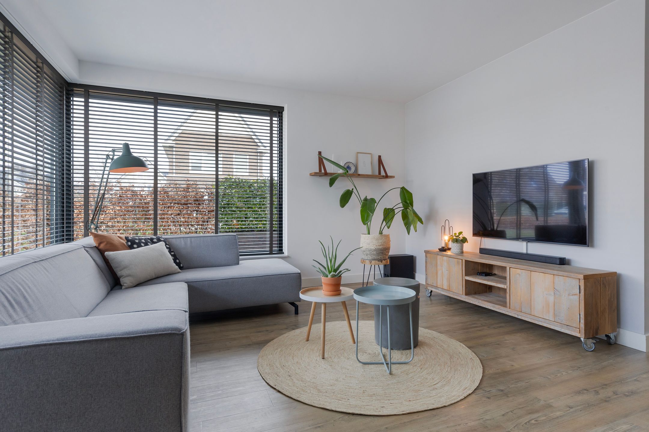 Foto 9 van Honingzwam 20