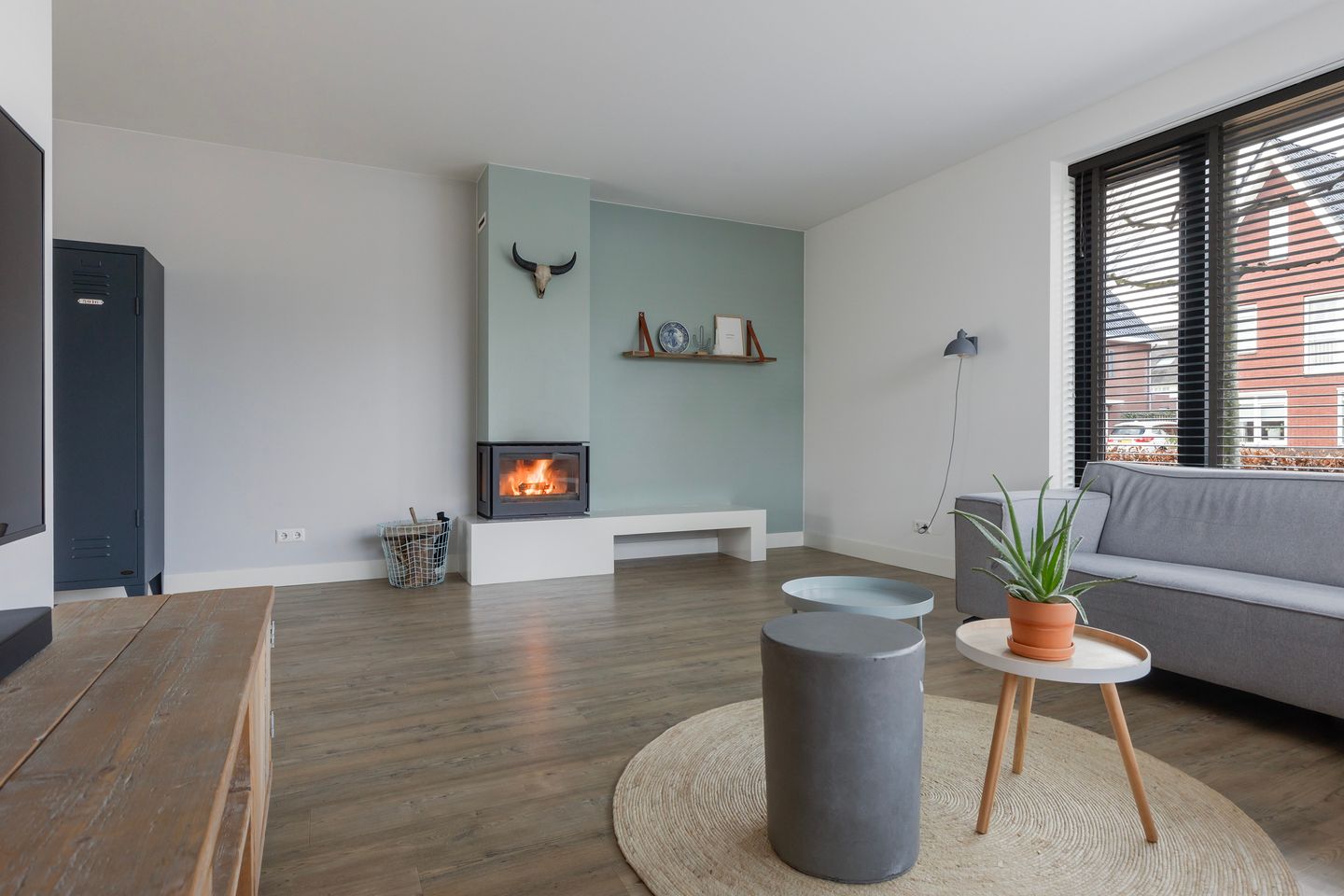 Foto 10 van Honingzwam 20