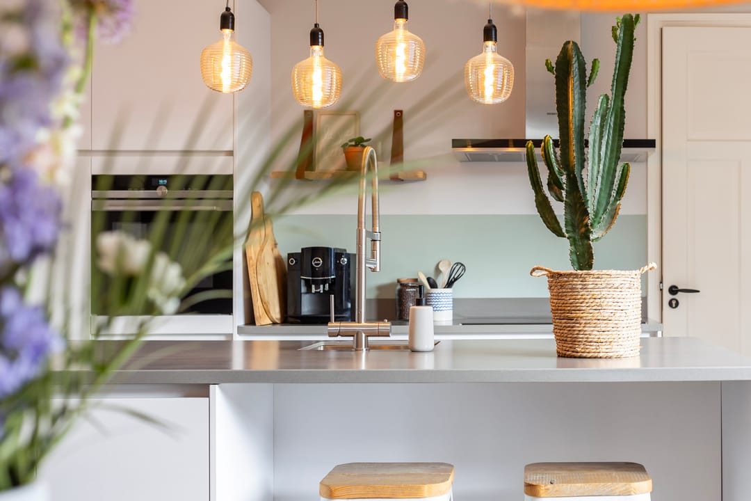 Foto 16 van Honingzwam 20