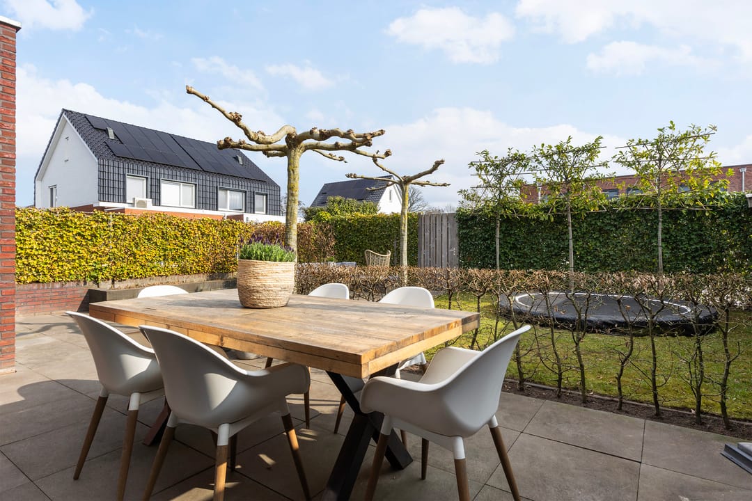 Foto 28 van Honingzwam 20