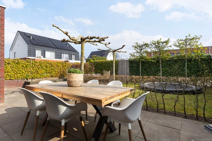 Foto 28 van Honingzwam 20