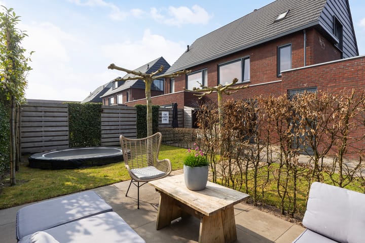 Foto 30 van Honingzwam 20