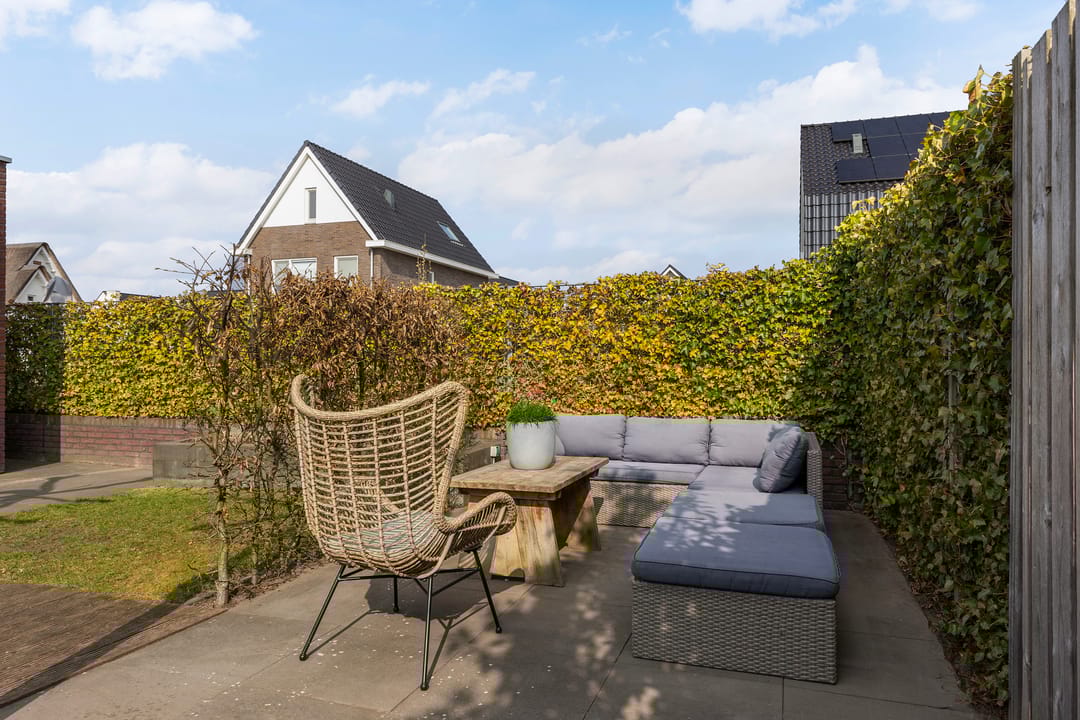 Foto 31 van Honingzwam 20