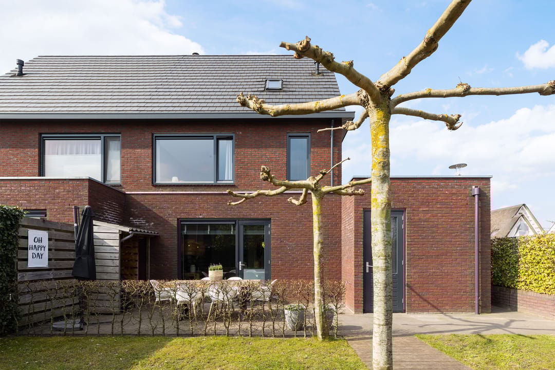 Foto 32 van Honingzwam 20