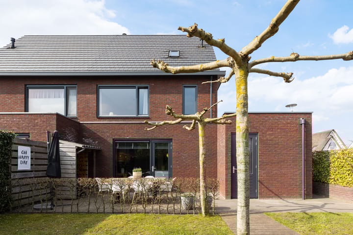 Foto 32 van Honingzwam 20