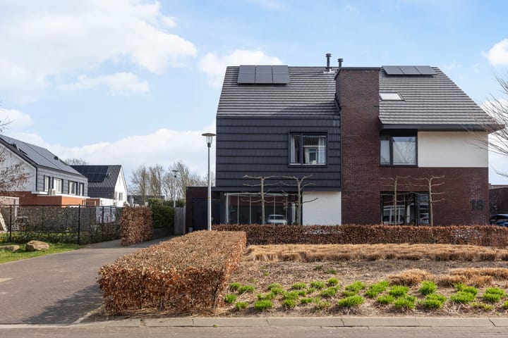 Foto 33 van Honingzwam 20