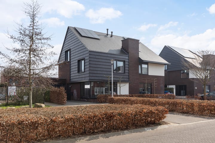 Foto 34 van Honingzwam 20