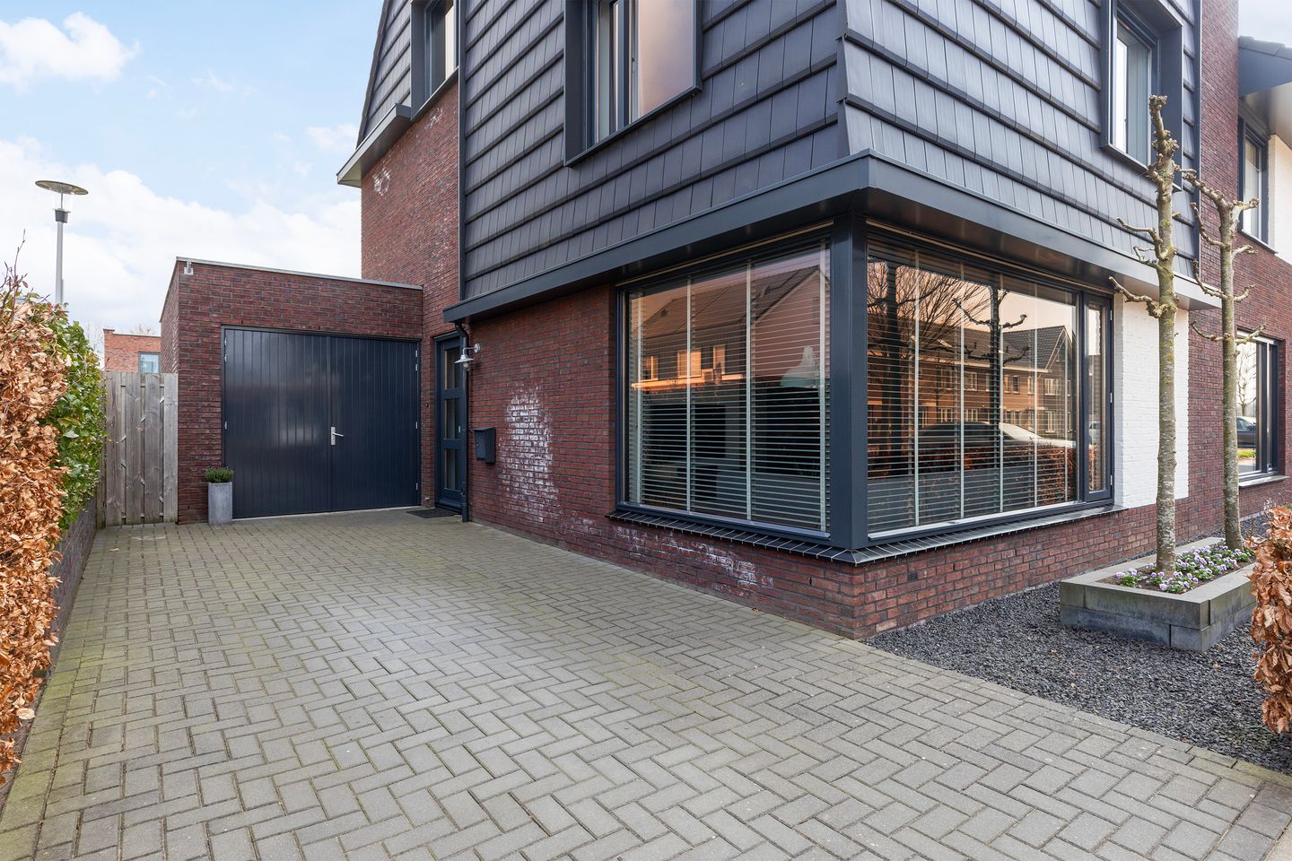 Foto 35 van Honingzwam 20