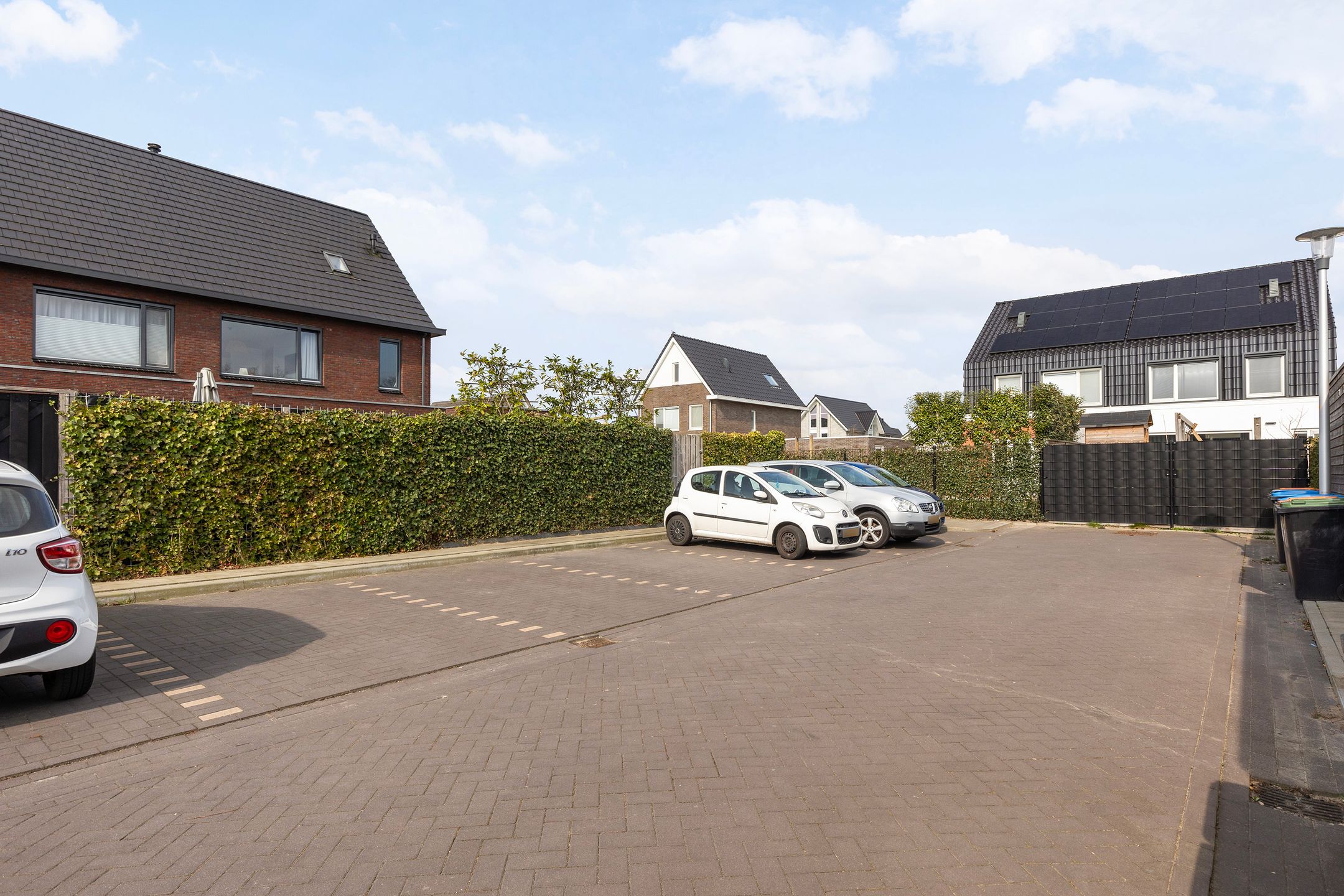 Foto 36 van Honingzwam 20