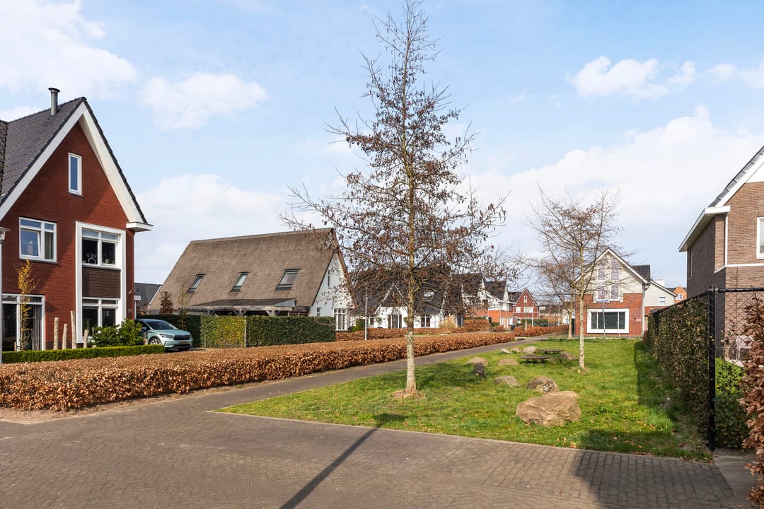 Foto 37 van Honingzwam 20