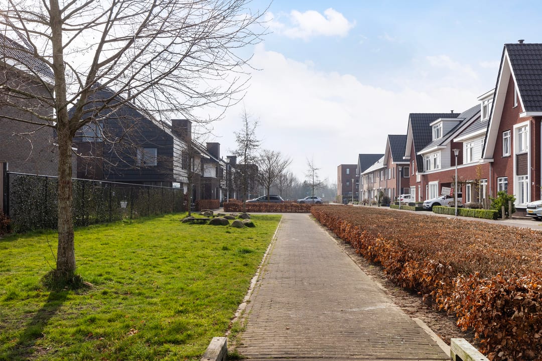 Foto 38 van Honingzwam 20