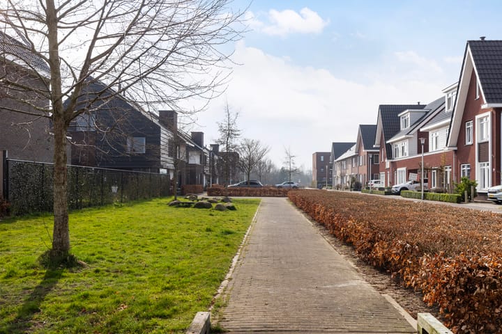 Foto 38 van Honingzwam 20