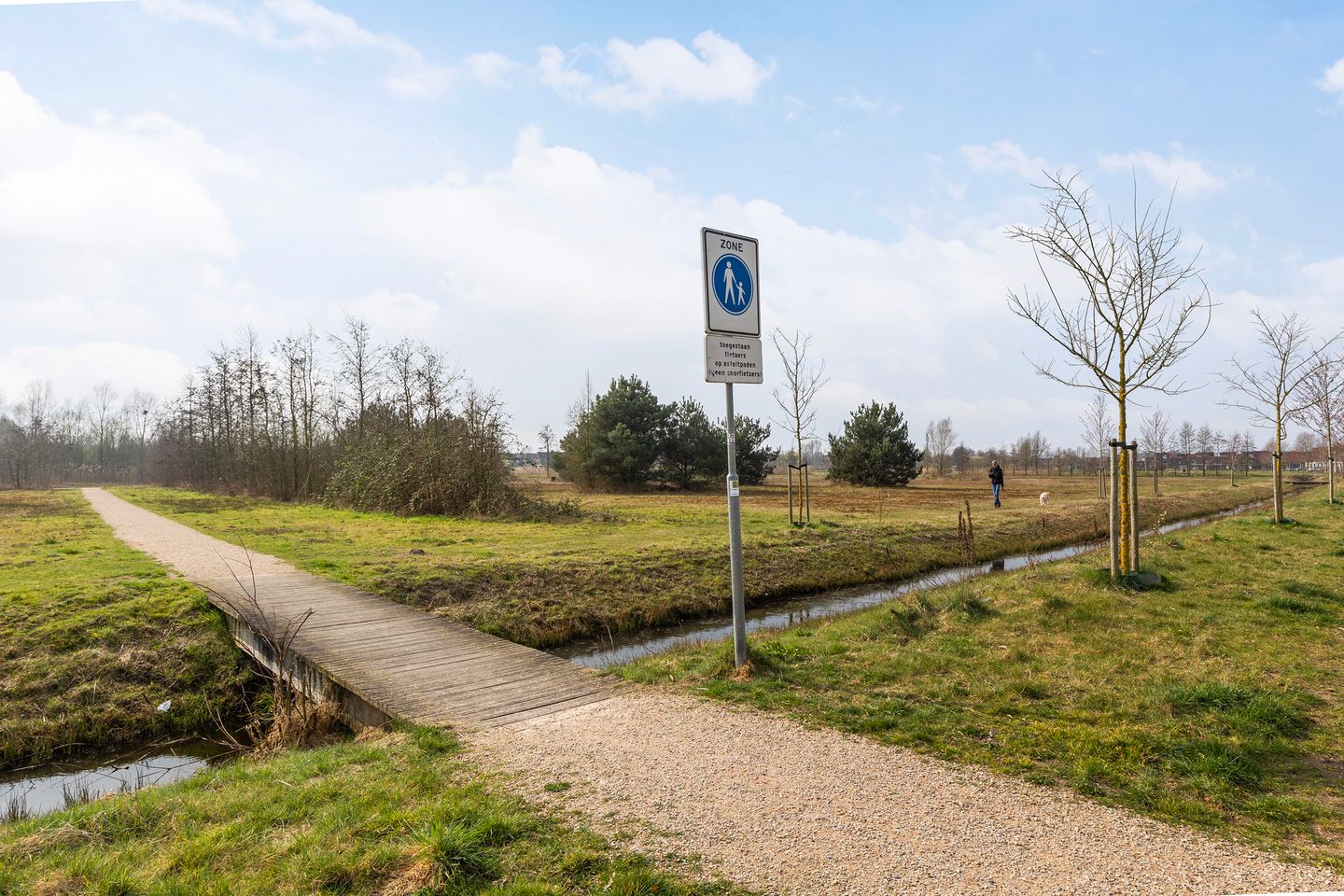 Foto 40 van Honingzwam 20