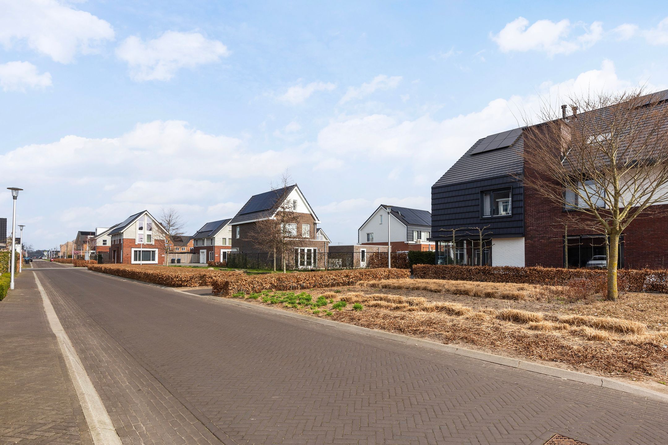 Foto 39 van Honingzwam 20