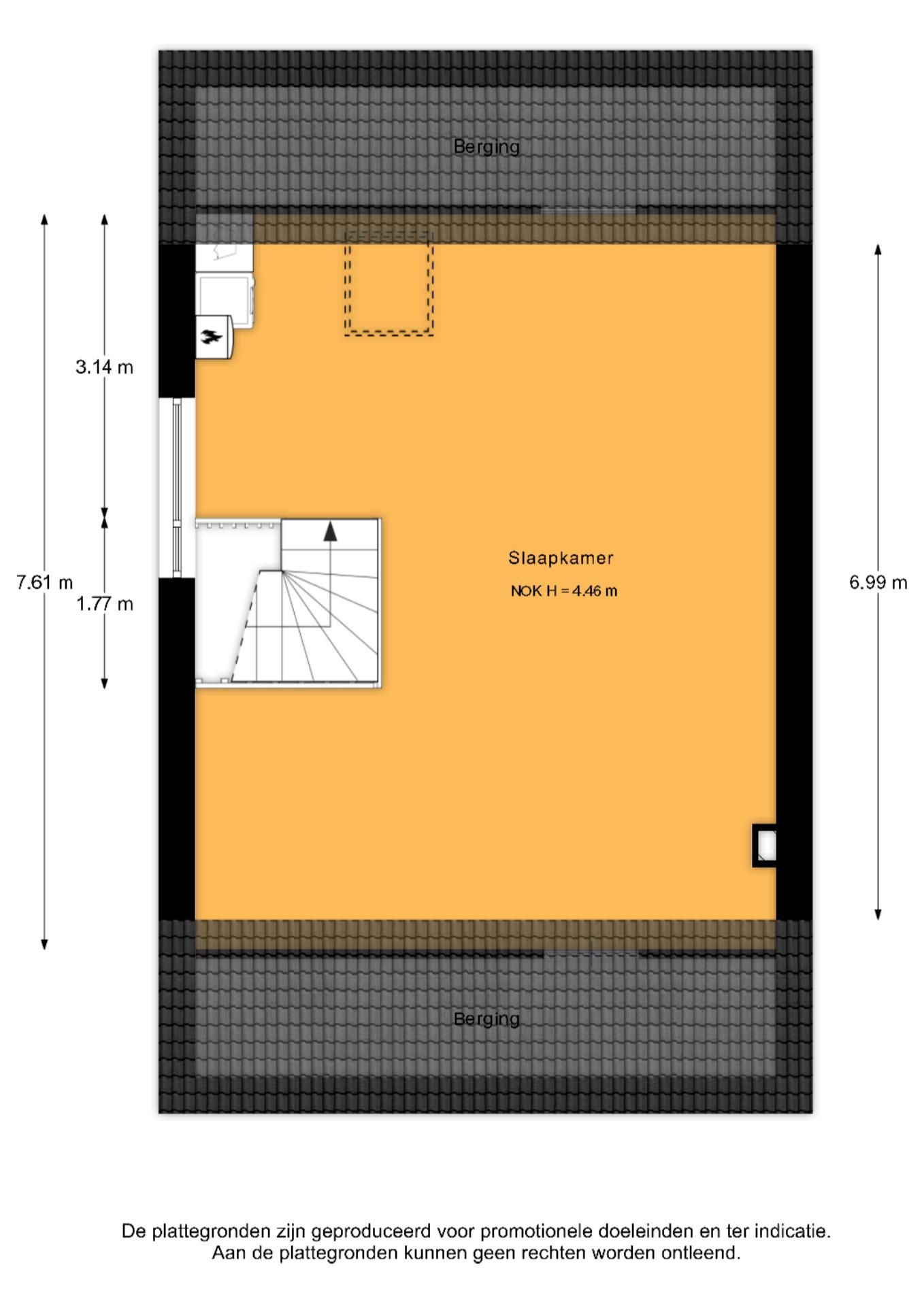 Foto 45 van Honingzwam 20