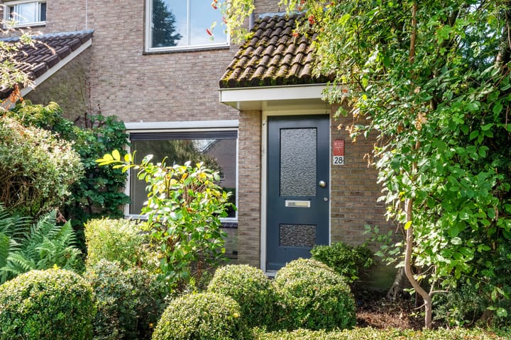 Foto 3 van Bonte Kraai 28