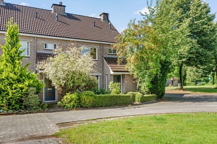 Foto 2 van Bonte Kraai 28