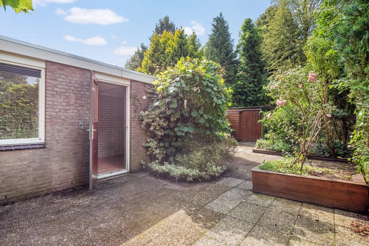 Foto 19 van Bonte Kraai 28