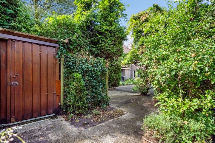 Foto 21 van Bonte Kraai 28