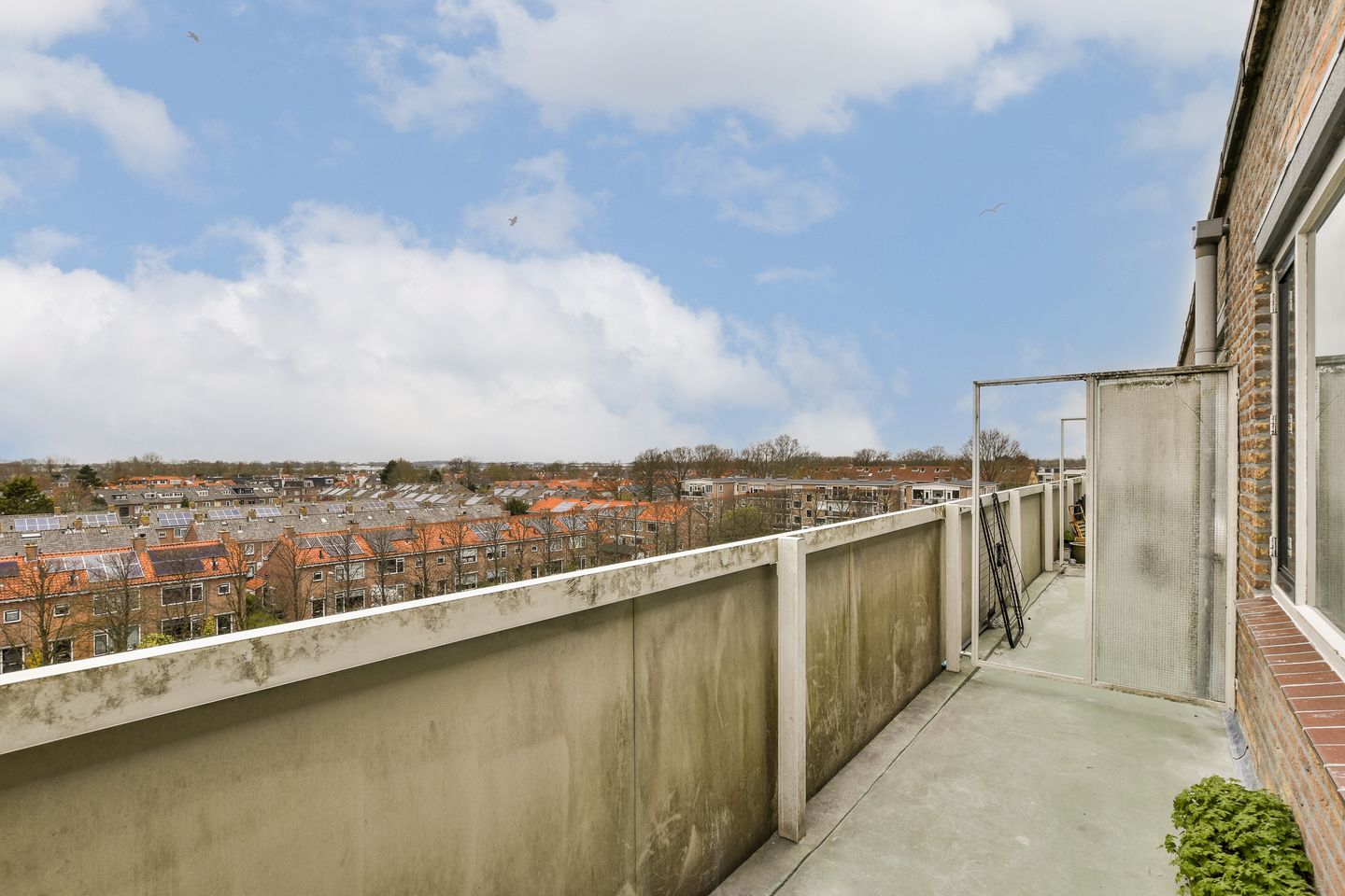 Photo 20 of Irislaan 253