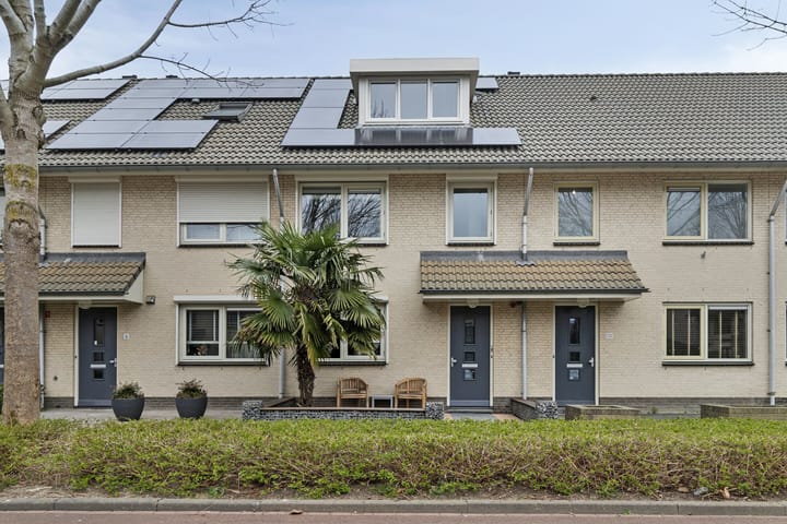 Foto 2 van Ebbenhout 8