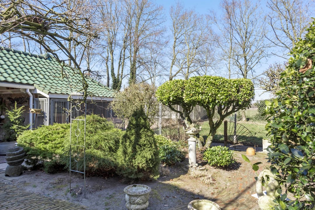 Foto 11 van Ommerkanaal Oost 10