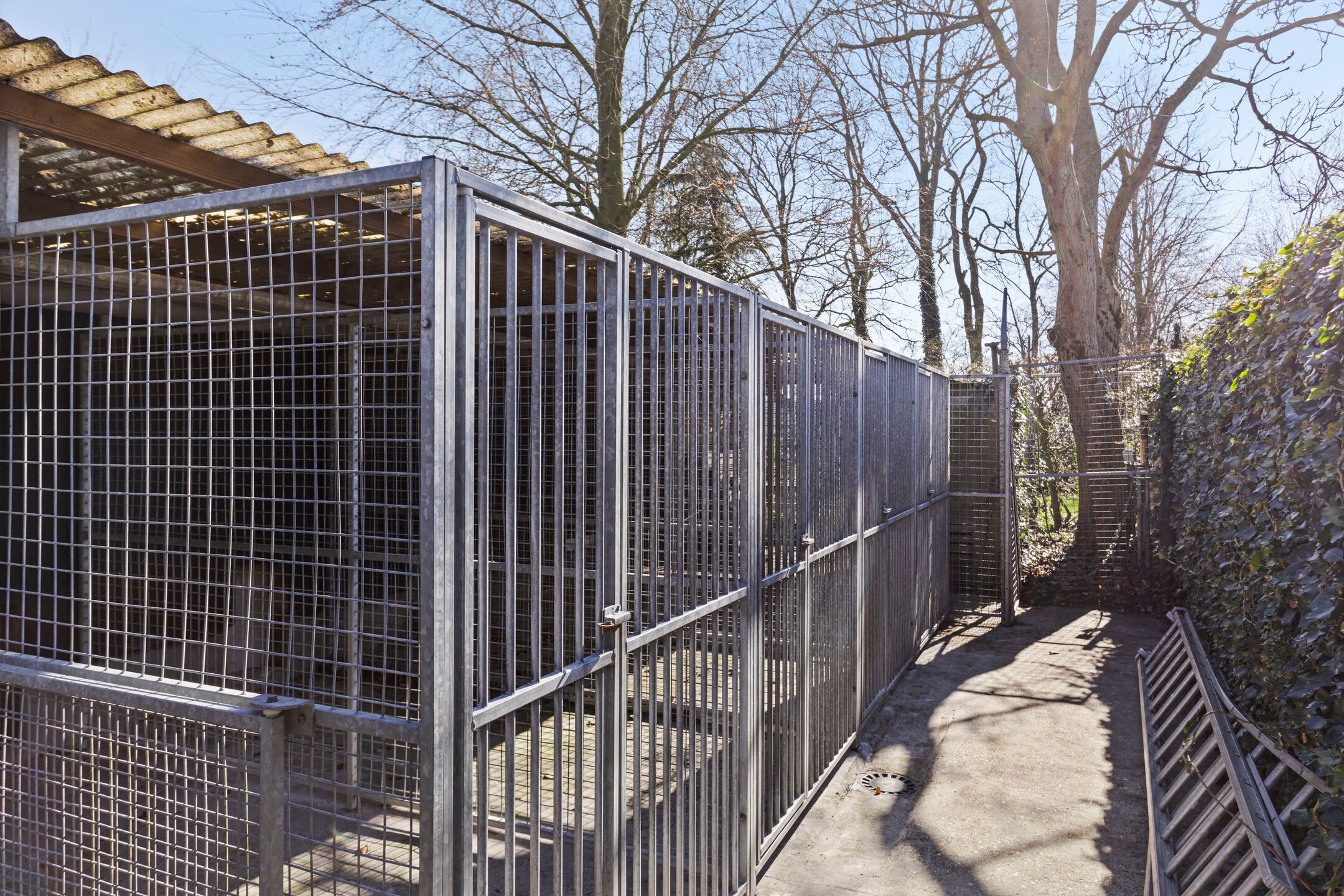 Foto 12 van Ommerkanaal Oost 10