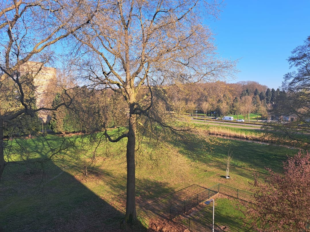 Foto 16 van Malvert 6883