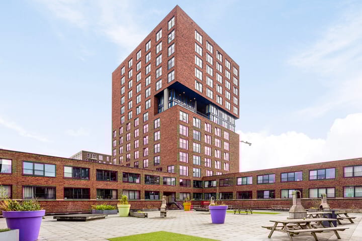 undefined main image