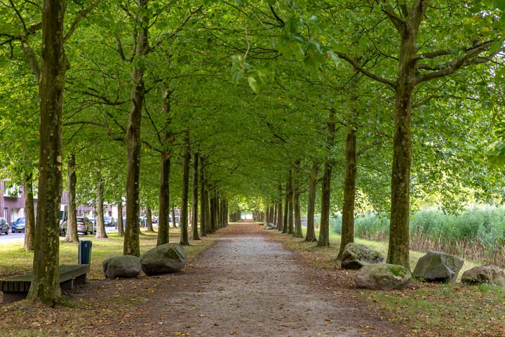 Foto 46 van Gulperberg 24