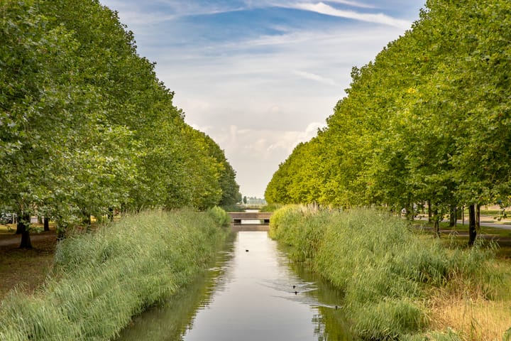 Foto 47 van Gulperberg 24